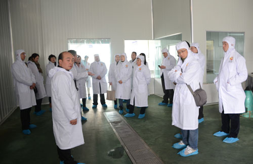 市檢協(xié)組織現(xiàn)在調(diào)研