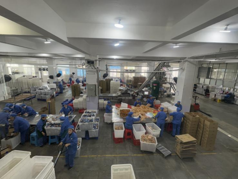 1750401855243258.gif image.gif